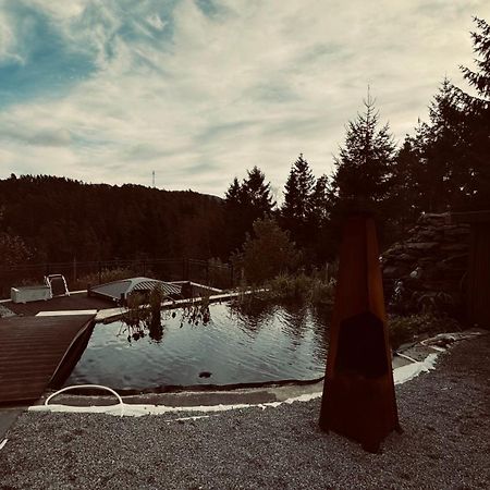 Rudnic Villa S Ap4 Softeland Екстериор снимка